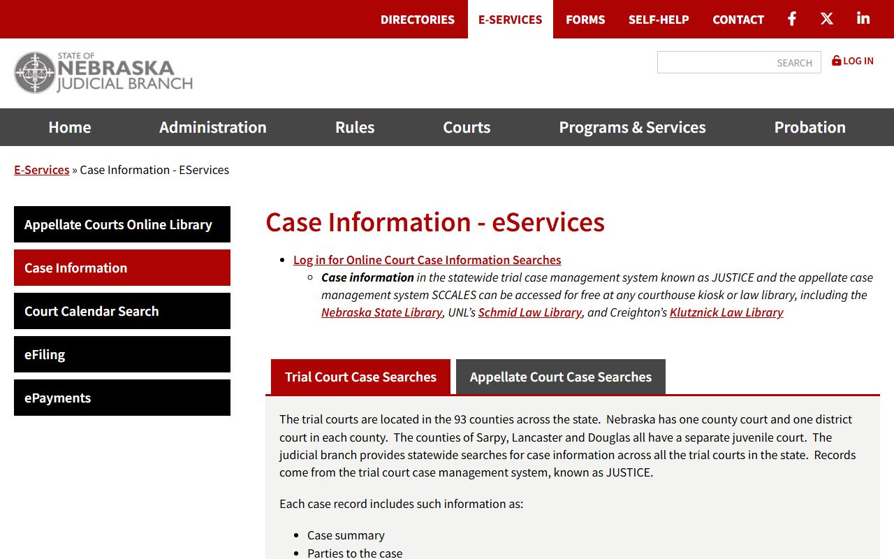 Nebraska case information page for Platte County court records after arrest